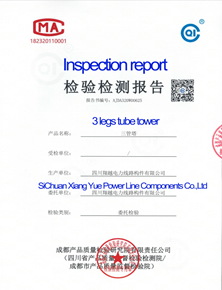 3 Legs tube inspection report