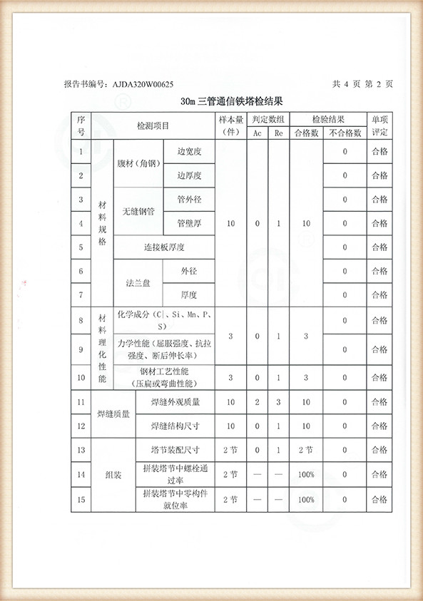 inspection report (3)