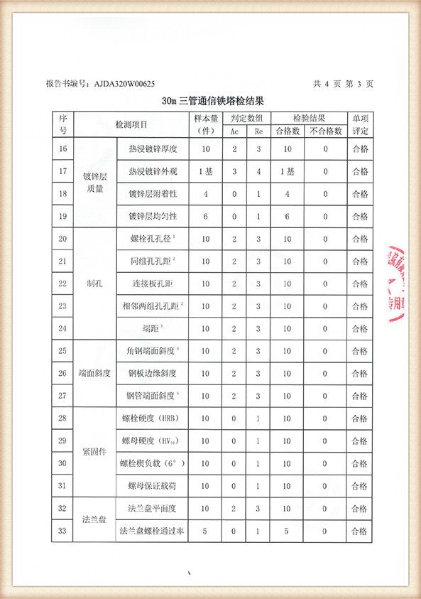 inspection report (4)